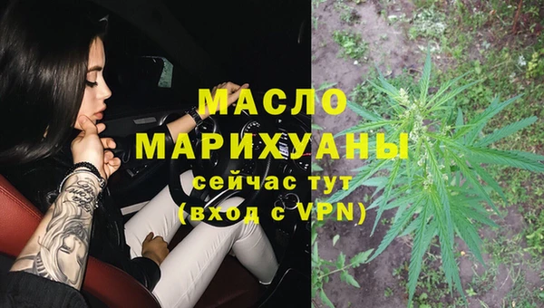 сатива Балахна