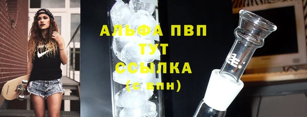 сатива Балахна