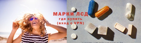 сатива Балахна