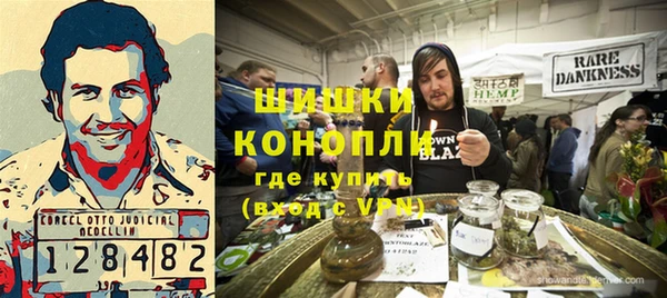 сатива Балахна