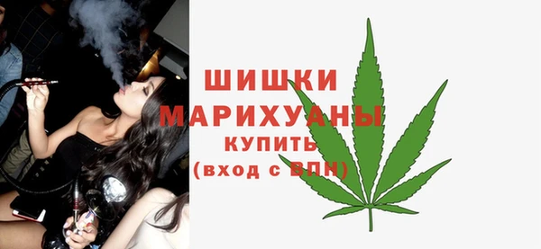 сатива Балахна
