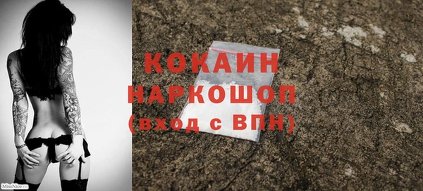 сатива Балахна