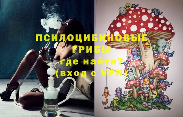 сатива Балахна