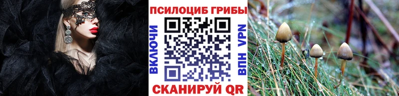 Галлюциногенные грибы GOLDEN TEACHER  Гудермес 